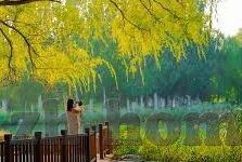 成人免费视频在线观看碰-与网络伦理，理性审视与自我保护