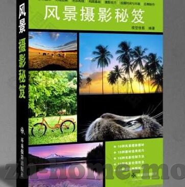 成人性视频4-成人性视频4，网络时代的伦理边界与个人选择