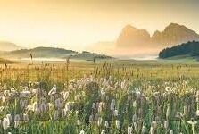 大象文化传媒公司-大象文化传媒公司，文化传播的巨象力量