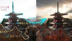 欧美在线成人视频-欧美在线成人视频，文化、法律与个人选择的交汇点
